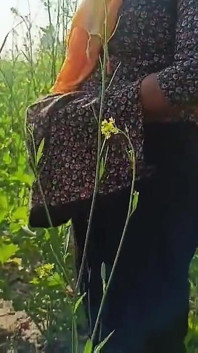 Desi village bhabhi bị devar đụ ngoài trời