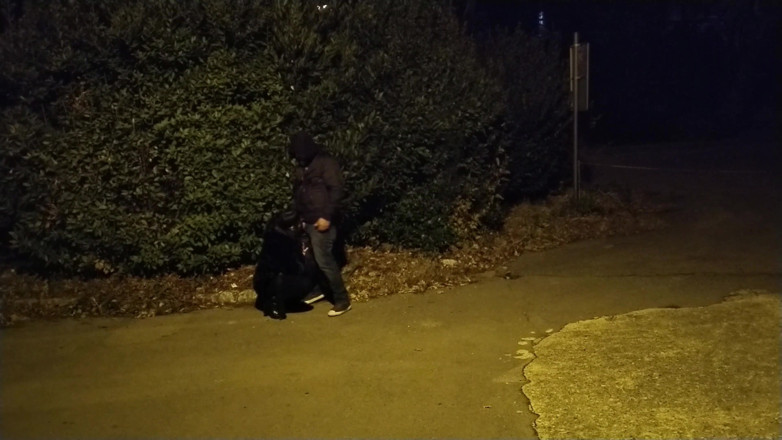 Toilet Mommy: Ze vroeg me om de auto te stoppen, zodat ze...