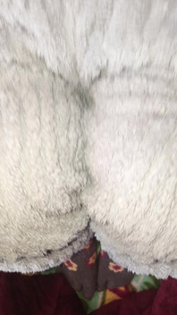 De Sexy Kut Van Mijn Lieve Zus Is Zo Mooi. Verpest Het