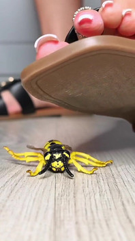 Bug Buster