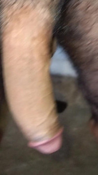 Big Desi Indian Dick