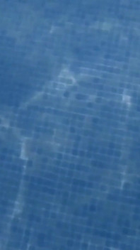 Captive Mermaid Teases You in the Pool