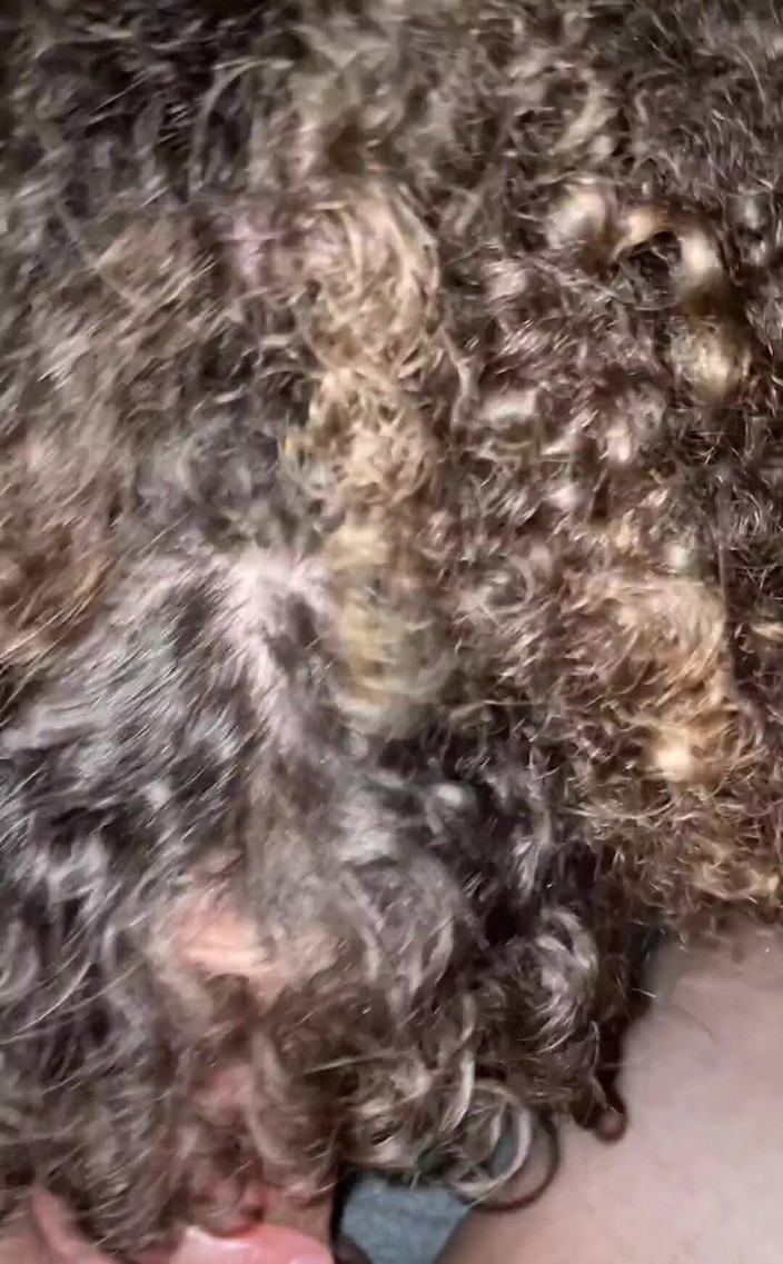 VibeWithMommy: Quand je adore une bite, il est assez difficile de...