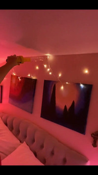 Ah Help - Stinkbug Pain in the Ass