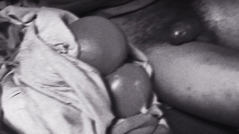 Bangcum8: Stor svart kuk blandras