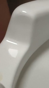 Licking Public Toilet, with Pee of Stranger, Male or Female