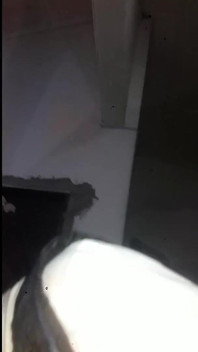 Unchiul vitreg a găsit porno pe laptop