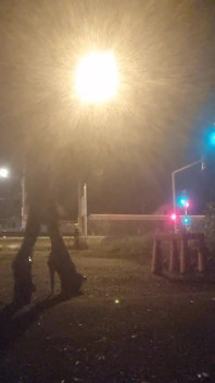 A Whore in a Mini-skirt Ras Du Cul, on the Edge of the Nationale 7 in Brunoy. 2h00 Vanessabitchx Parischiennetrvprod