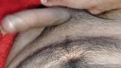 Rakul008: Třesoucí se čůrák domácí