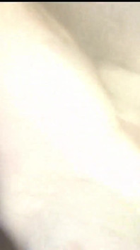 더 나일론 페커