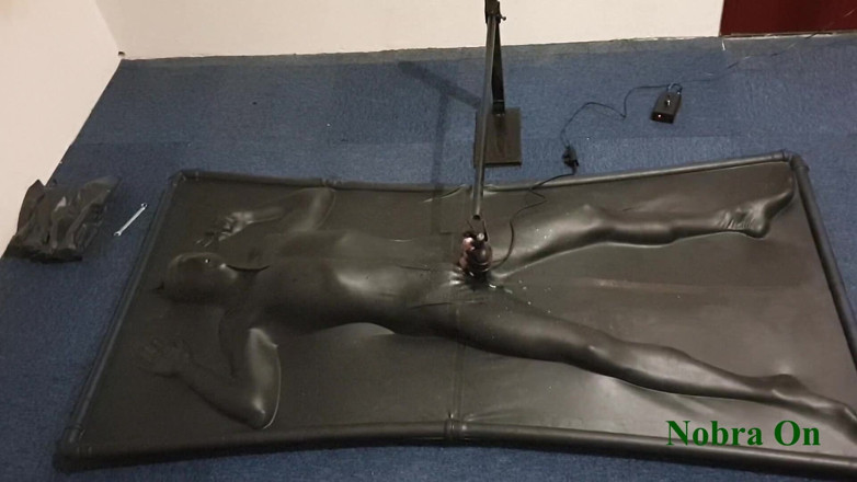 NL Milking: Vacbed und Nobra mit timer