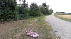 sweetfeet29: Sesi Musim Panas Bagian 1