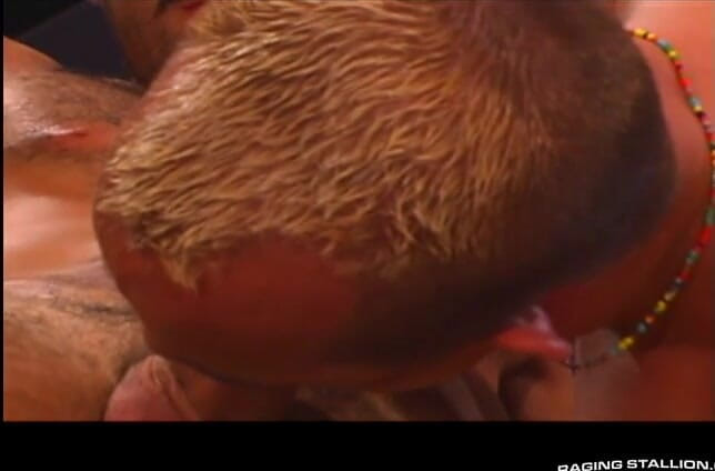 Raging Stallion: Sexus