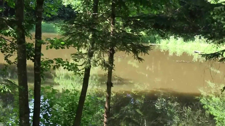 Popp Sylvie: The Sex at the Lake