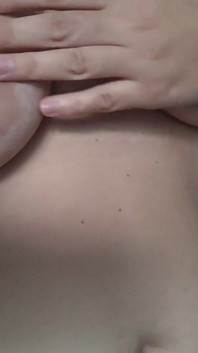 Sasihasi