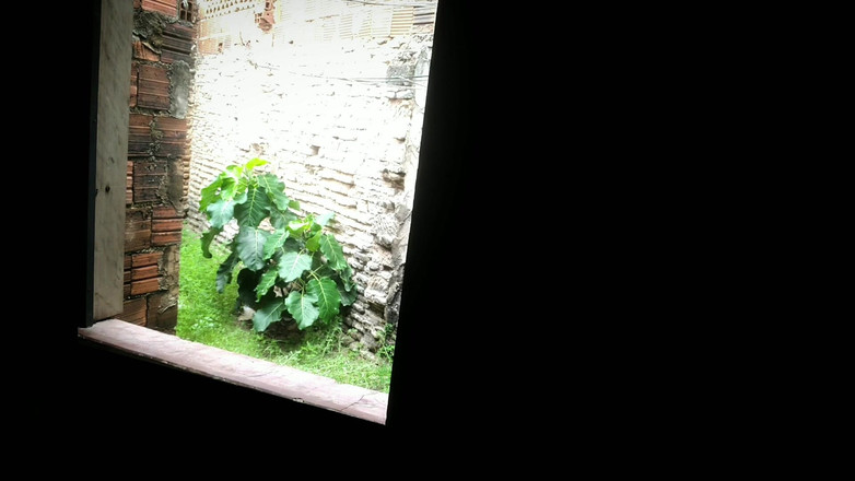 MiguellTrajano: O Entregador Subiu até a Um Terreno Abandonado Fazer Sexo...