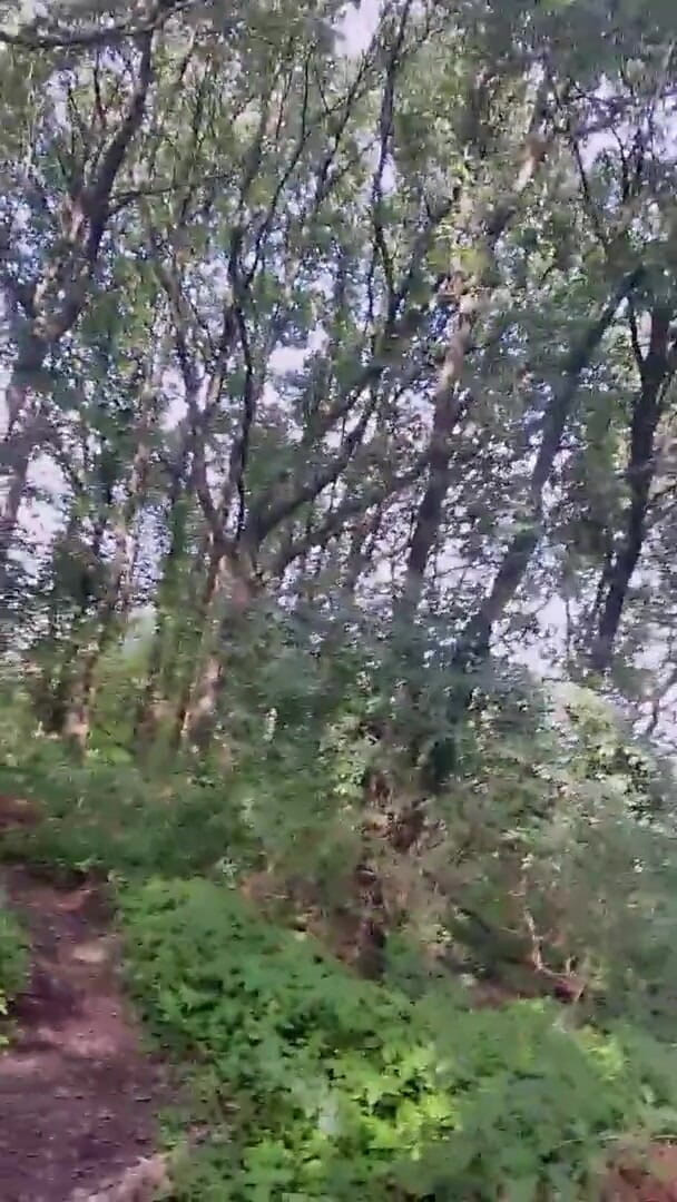 Slutboyben: Slutboyben cam4 sexy cruzando garota iii ao vivo exposição ao...