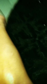 Albino Throated Lil dwerg Colombiana Don.key