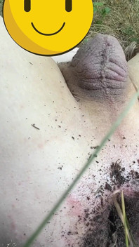Outdoor anal insertion