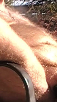 Daddybearaz在户外抚摸