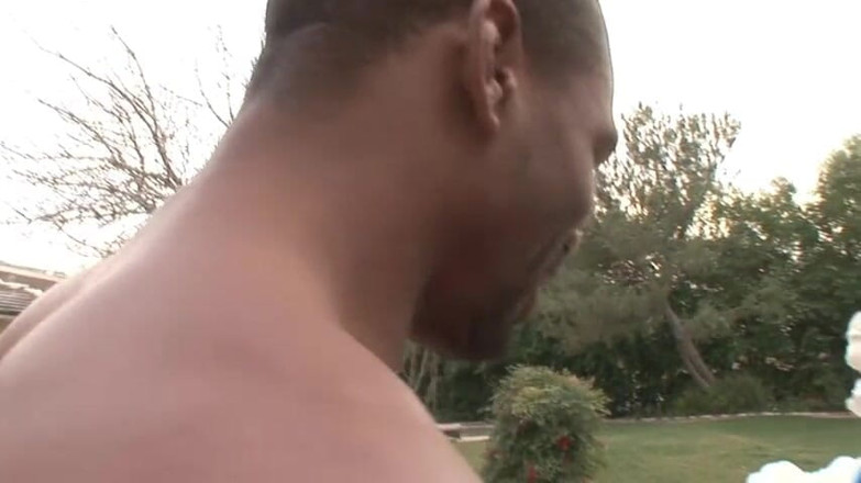 Rocco Siffredi porn: Teen hottie banging hard black cock