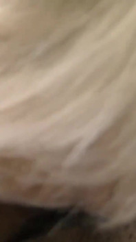 Hairy gilf and her two friends are getting fucked by a monster cock in POV