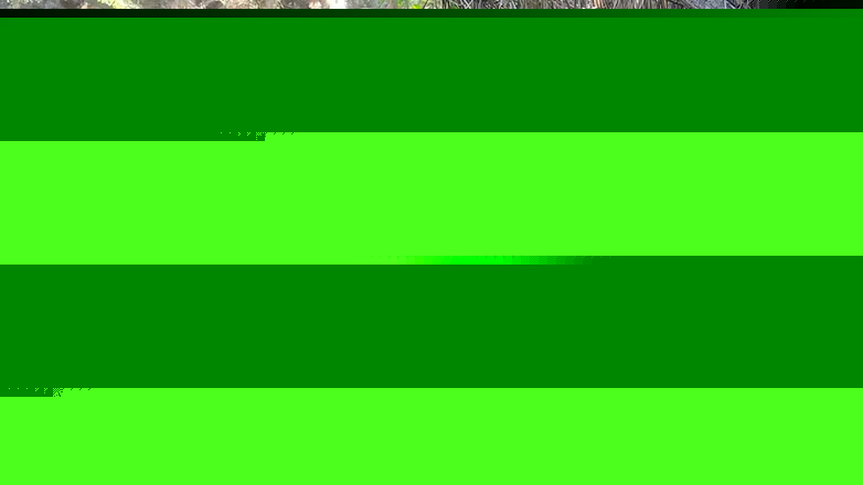 Riderqueen BBW Step Mom Latina Ebony: Riderqueen Alone, Venkovní, Videa pro Moje fanoušky.