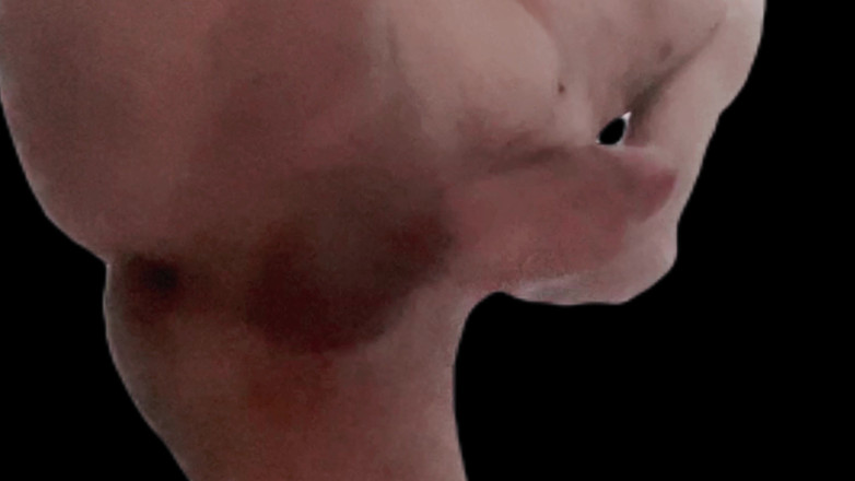 Naughty Cock: 站着自慰