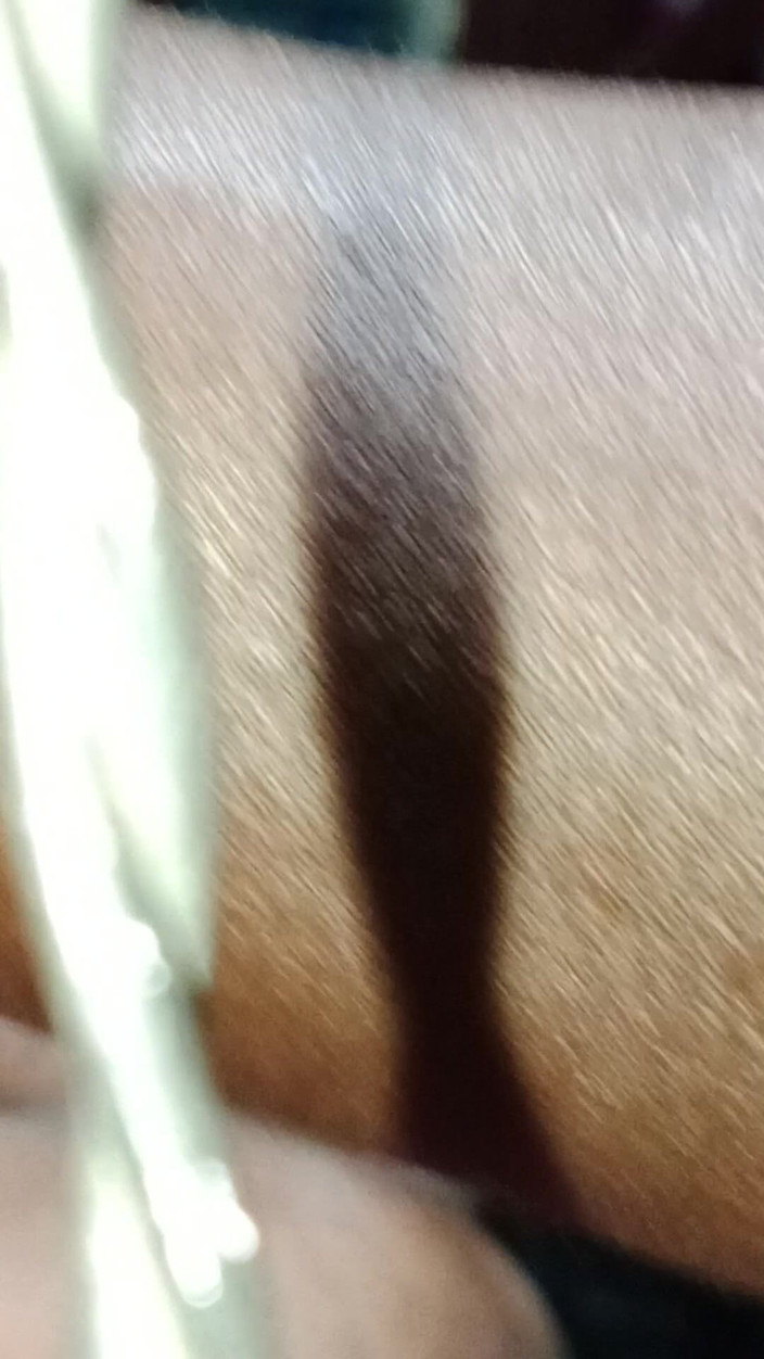Desimombd: Sexy krásná bhabhi má sex
