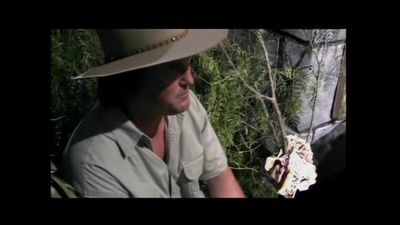 Porn4Life: Erica Sommers Und Der Dreckige Mistkerl