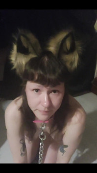 Im Your Pet