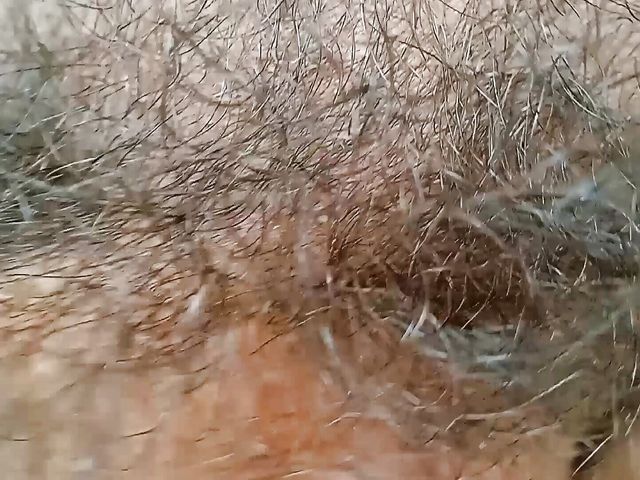Male Masturbation Penis Shaking Semen Ejaculating Sexy Boy (E. G. Production)