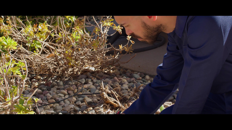 Dirty Cinema: Enthralled - prima parte