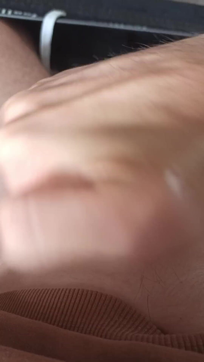 MurryTurk: Con cu to rậm lông Thổ Nhĩ Kỳ. Tôi xuất...