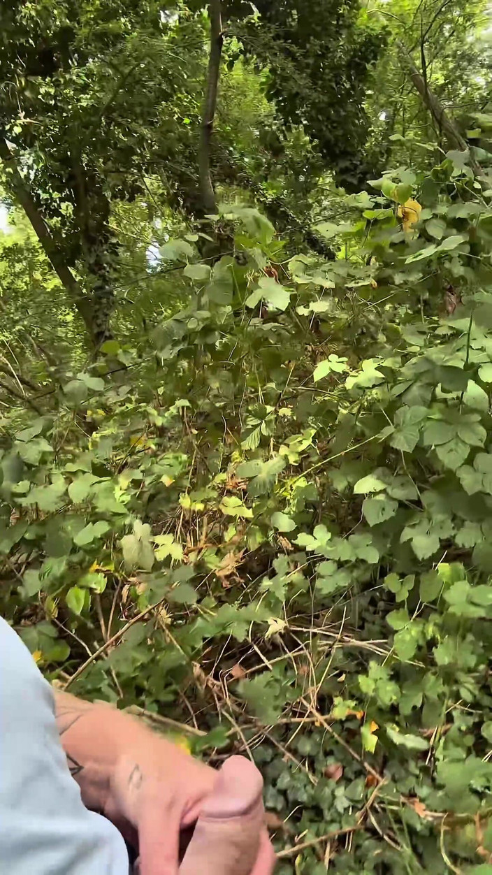 mekcho92000: Gå i skogen