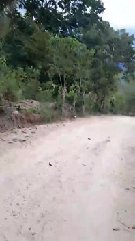 我们先欣赏风景，再去操