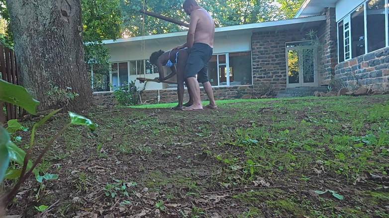 Black Swan: The Firewood That Never Made It Home