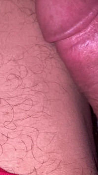 Baby Suck My Cock