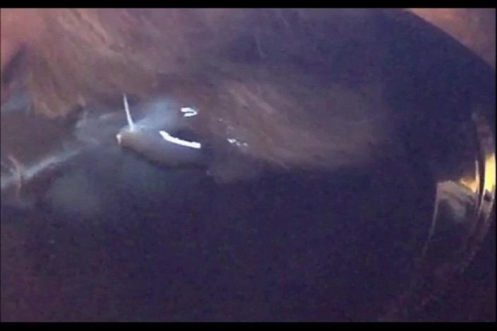 Random111zoig: Memoc 24