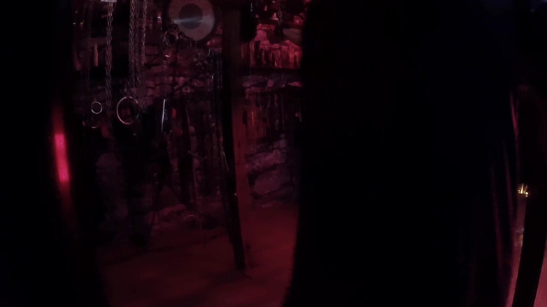 Aaexperinces trans: Часть 2 Опыт Forst Allegro с Lanista Bear