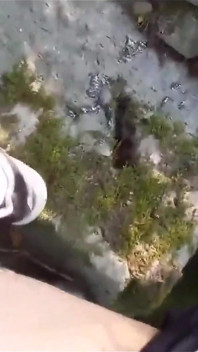 Cute Adidas Boy Walking in Freeball (balls Bare No Panties Under His Shorts), Wanking His Cock, Ejaculating His Cum on the Rock