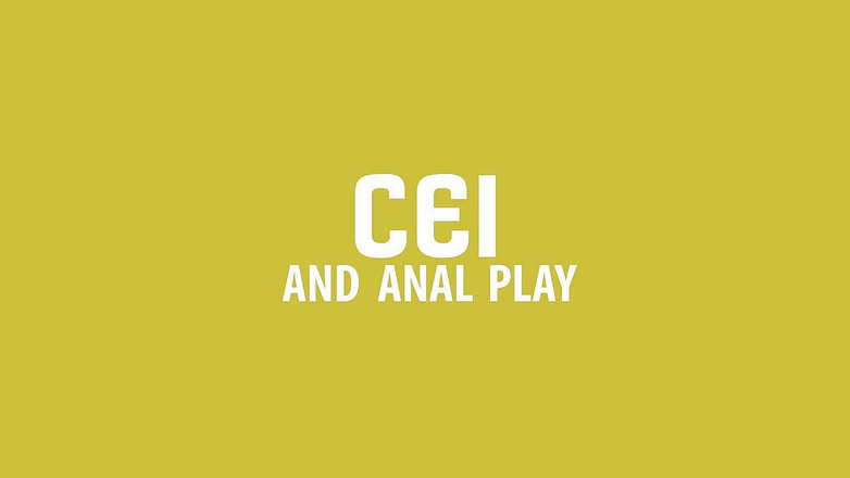 Campsissyboi: POUZE AUDIO - CEI a anální hra