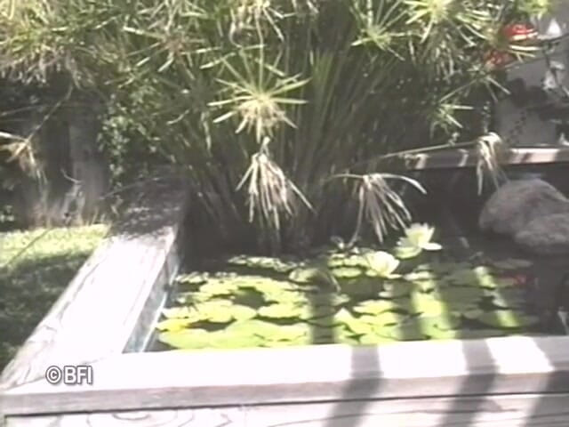 Bad Boys bedroom stories: Parco di jacuzie
