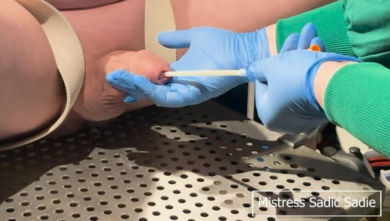 Sadic Sadie: En enkel kateterdemonstration, vidga urinröret