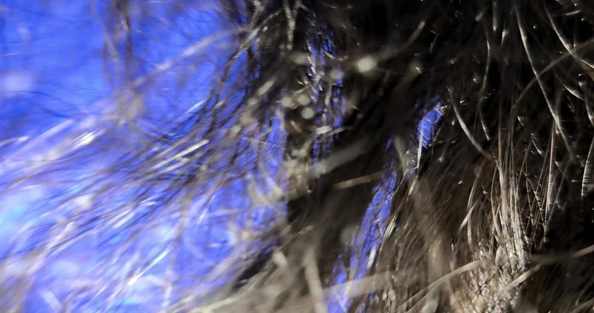 Basant Arab: , couple, femme arabe sexy