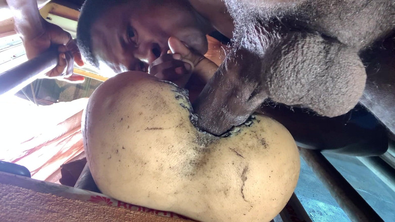 Bangcum8: Pantat montok cewek amatir ini bikin aku crot buru-buru sampai...