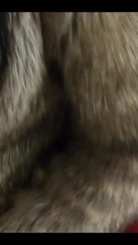 Milfycalla - Masturbating While Wearing Fur Coat and Shiny High Heels