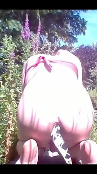 734165776394629121