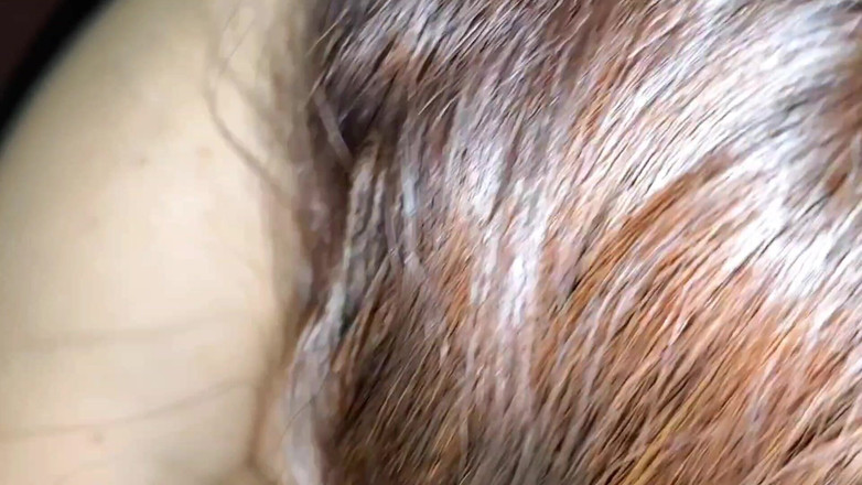 Frank jonson: A prostituta da minha esposa chupou meu amigo