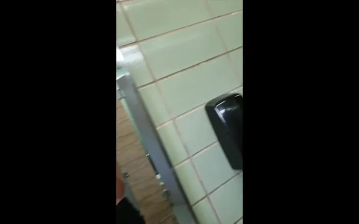 Alli Anderson: Public Restroom Flashing